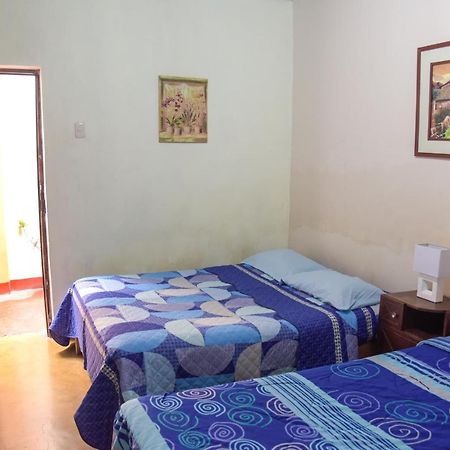 Brabant Hostal Наска Экстерьер фото
